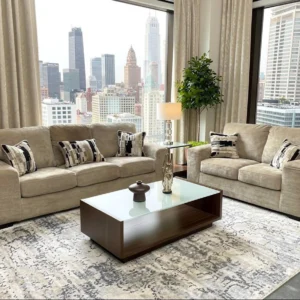 S319 Sofa and Loveseat (Coco)