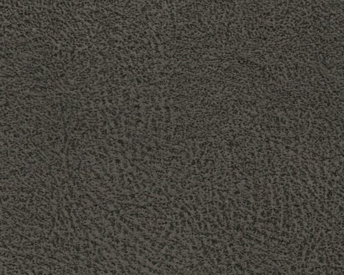 AS94002 Navi